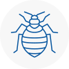 Bed Bug Extermination In Rowley Regis